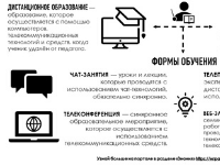 Восходящая комета «Дистанционное образование»