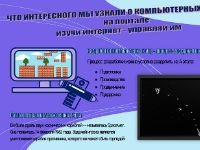 Можжевельник «Компьютерные игры»
