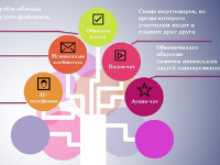 Расхитители Додо «Общение в сети»